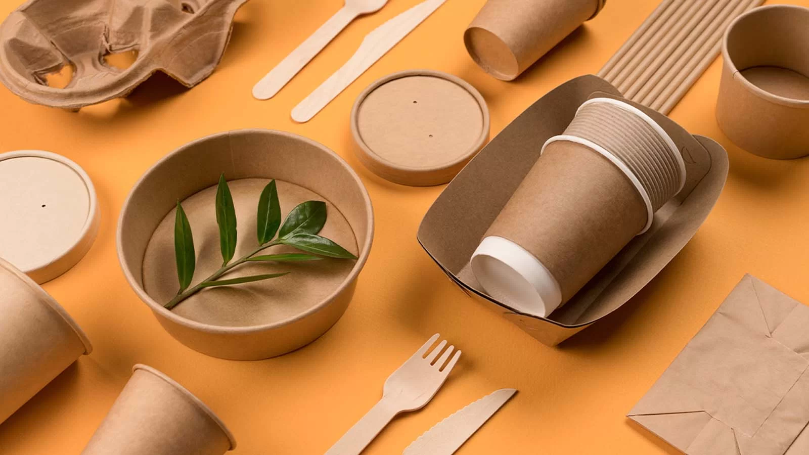 Selection of cardboard and bamboo to-go food packaging and cutlery