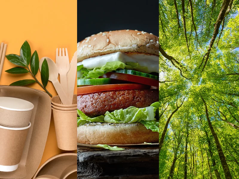 3 images in one featuring bamboo cutlery, plant-based burger and a microscopic view of a green cell
