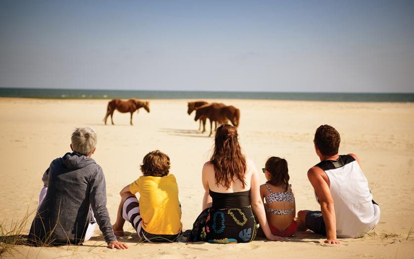 Photo from behind of a family sitting on the beach watching wild horses in the distance.