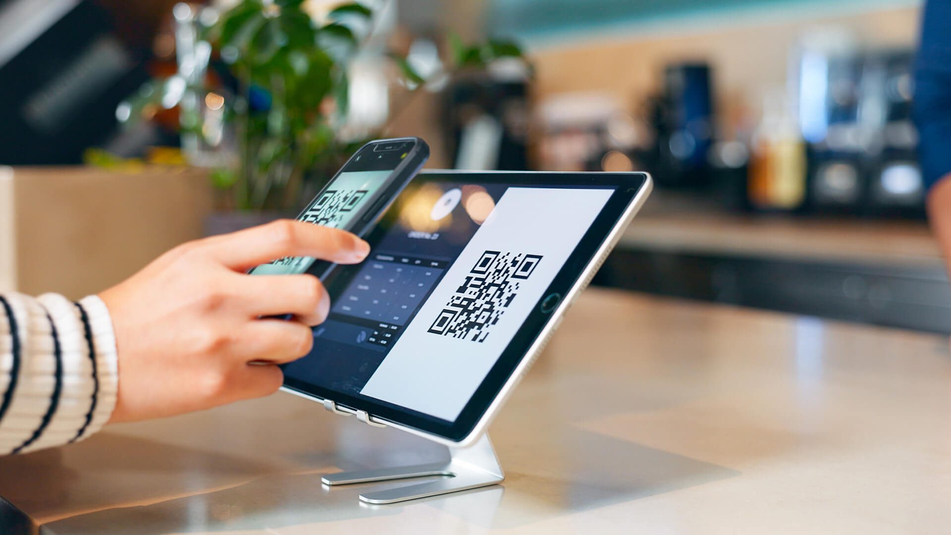 Person scanning qr code with phone